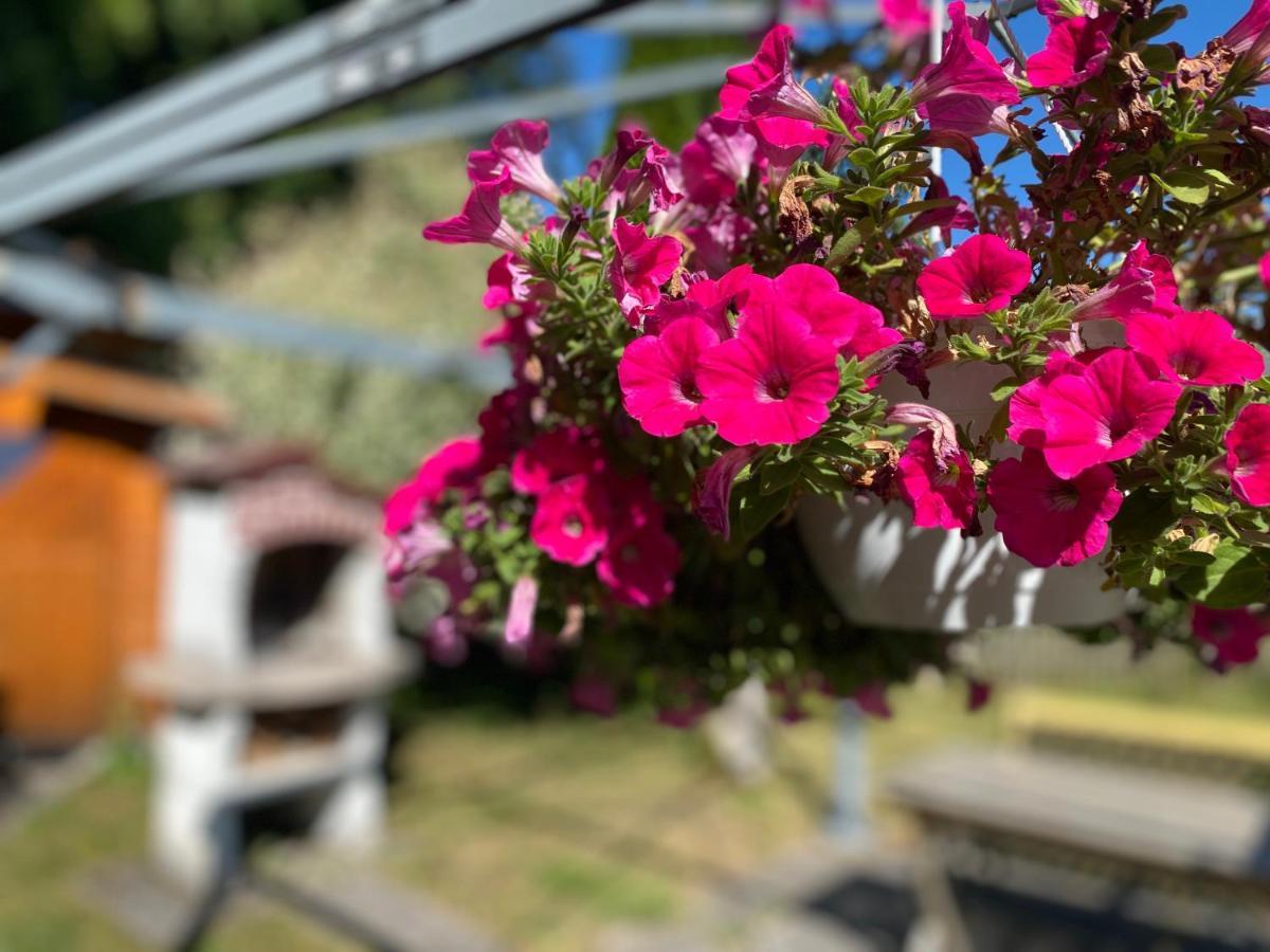 Ferienwohnung Am Franziskanergarten Bad Tölz Buitenkant foto